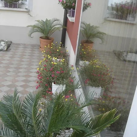 Bed & Breakfast Al Fari - Pensione.